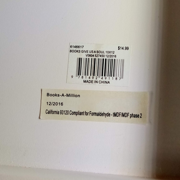 "Books Give A Soul To The Universe" 10x12" Plato Quote Wall Art Decor - Picture 4 of 10